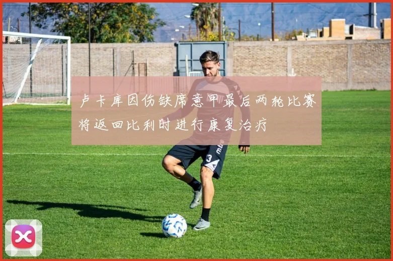 卢卡库因伤缺席意甲最后两轮比赛将返回比利时进行康复治疗